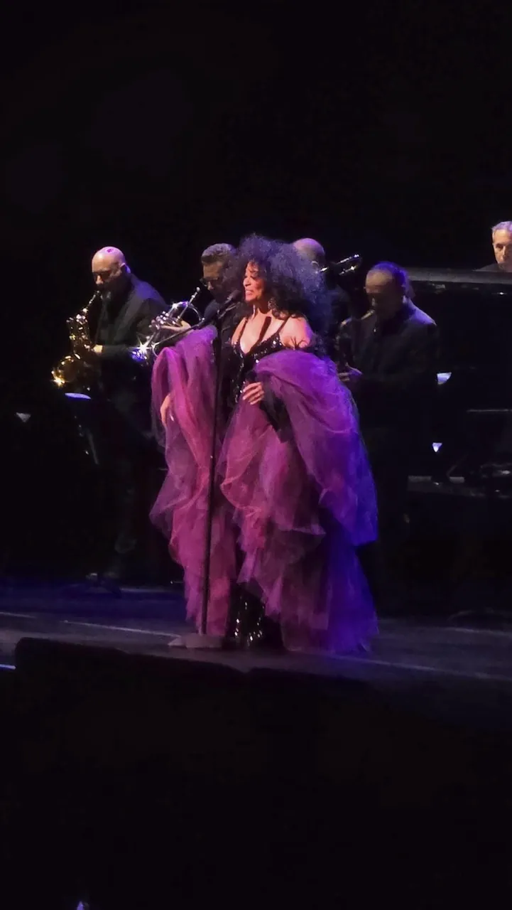 Diana Ross in a magenta gown on stage with the band behind her.