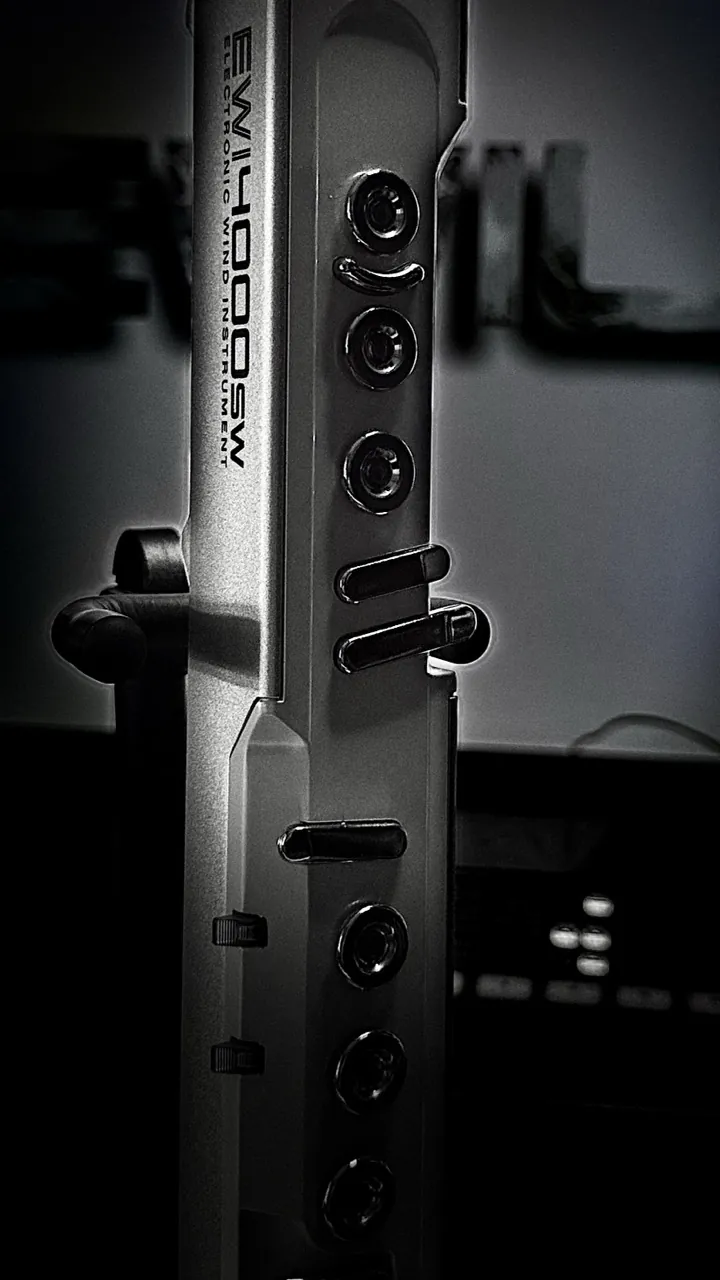 Black-and-white close-up of the EWI4000sw on its stand.